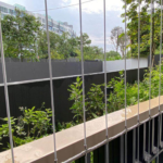 Untitled design (78)