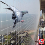 Untitled design (53)