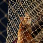 relRfOkwCYLf8lgnAKqQ3kKBKD3hl6SkzU4BpEaRHU2IHjLoDlGVcUGt000G0VcGGYECJYtiL5zNV8_0tqlJB7p8IGz-gEriAzNPVA3XrxUCE-ByLUr4xaZmGsI-45l2xKGTsypcPAw_hVekt2KnWhuF2eVYjL9J8Er1FzX9gB-vGaDoRz4USwjRBZx