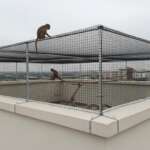 uJsSmFIegXkxpISSIMwXCcRqg6XZyN40W7wsO8Qa1LbKVtSW1m-9DDsT8Tnpkm9-iPd9z5pAWHf9UZexNgEWZRQmzASRqGZjMYhuQF0f01wHajIbOAqNtzrtpcWRtLVtVNG_f2GbCuJsa7pdvKnnXG73WXKWD5acx6zlC9fs0K7krjq0rWzBdAqQoeW